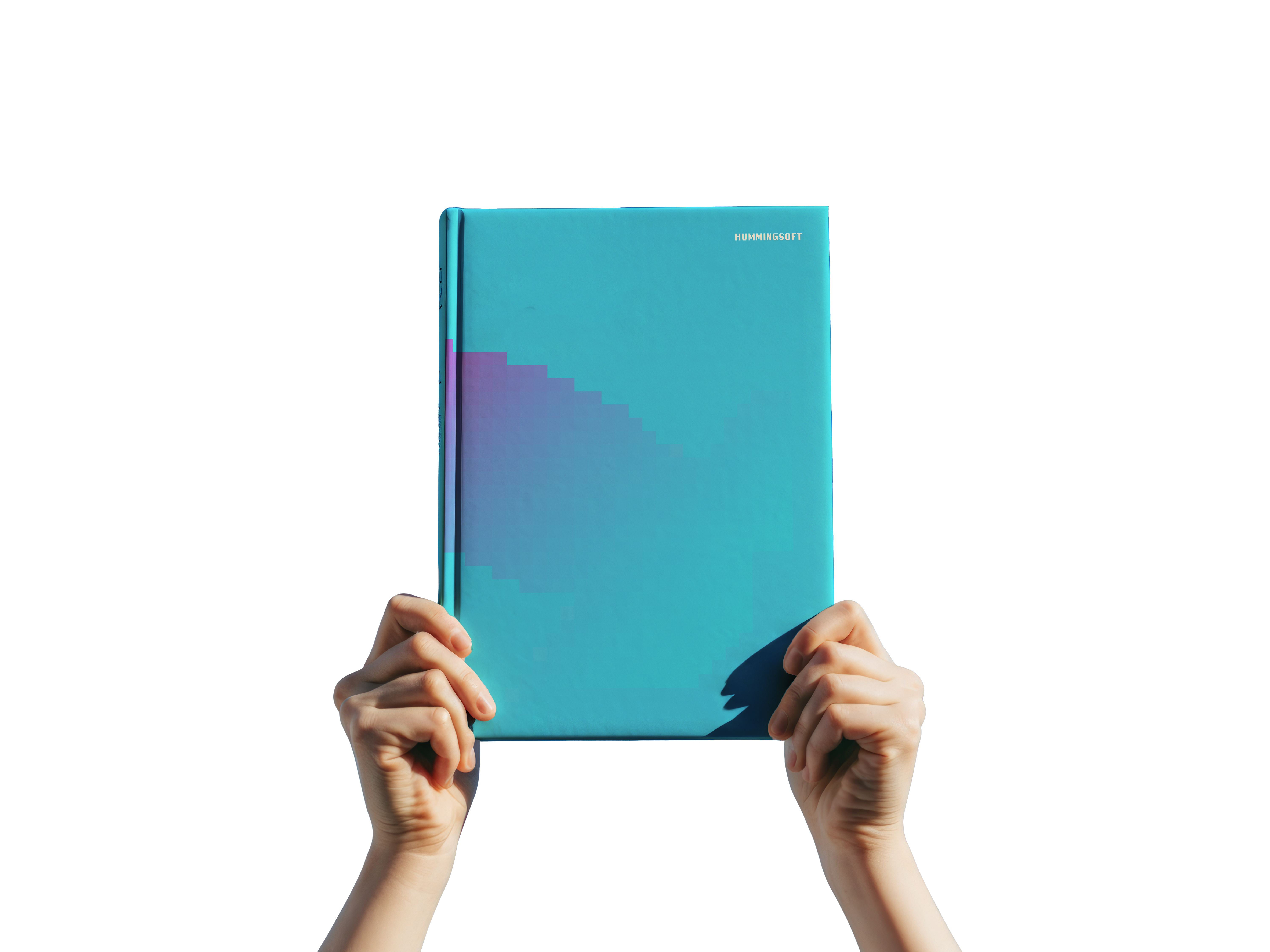 Blue Hawk Publications Book